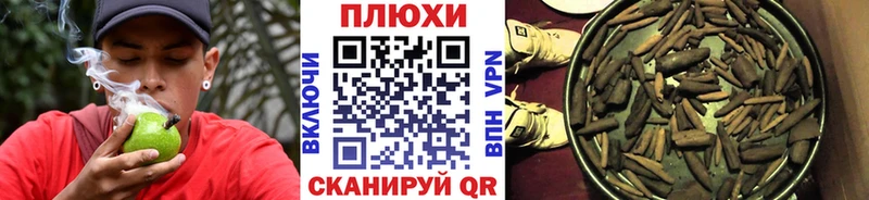 Гашиш Premium  Купить где  Жуковка 