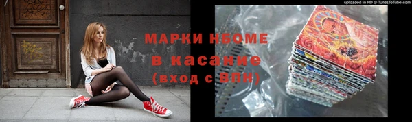 прущие грибы Козельск