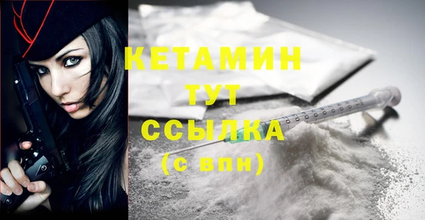 гидра Кодинск